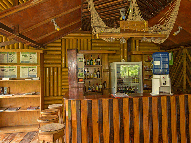 Die Bar