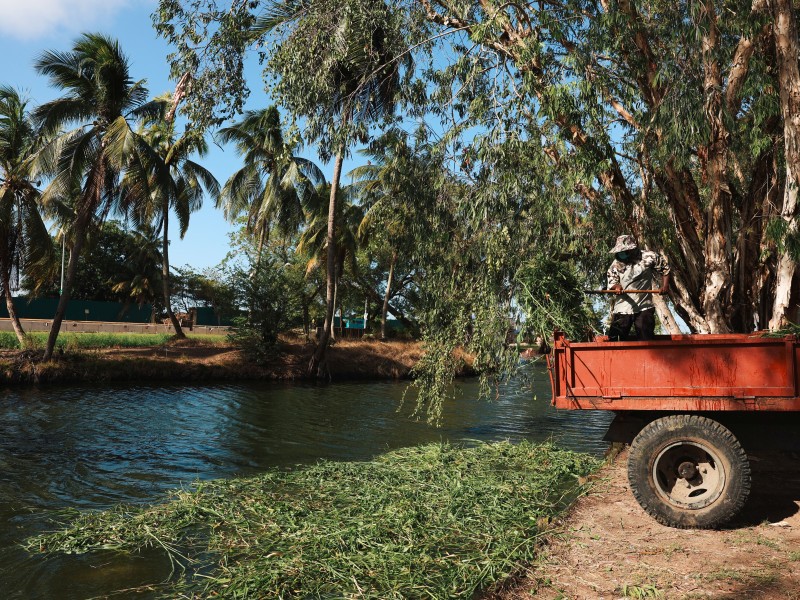 Small river in Botanical Gardens