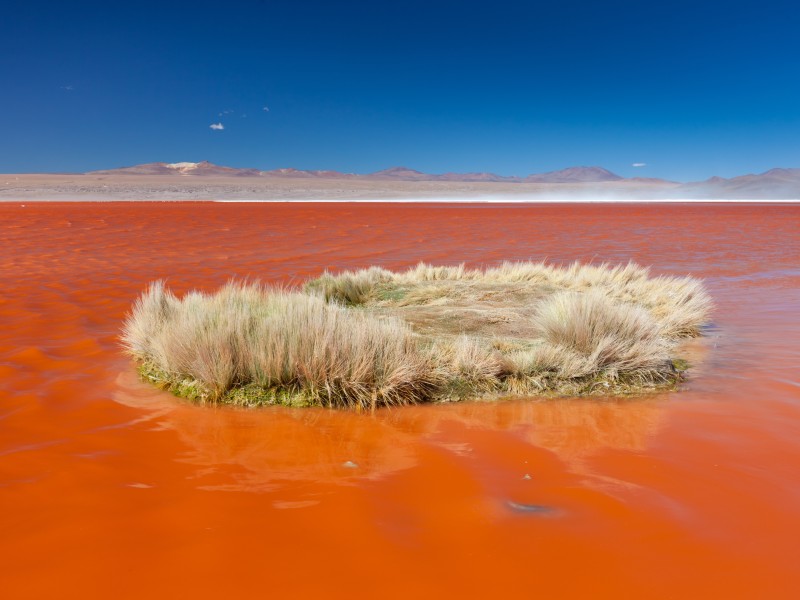  Laguna Colorada