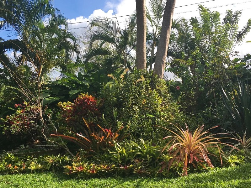 Grenada Garden Festival