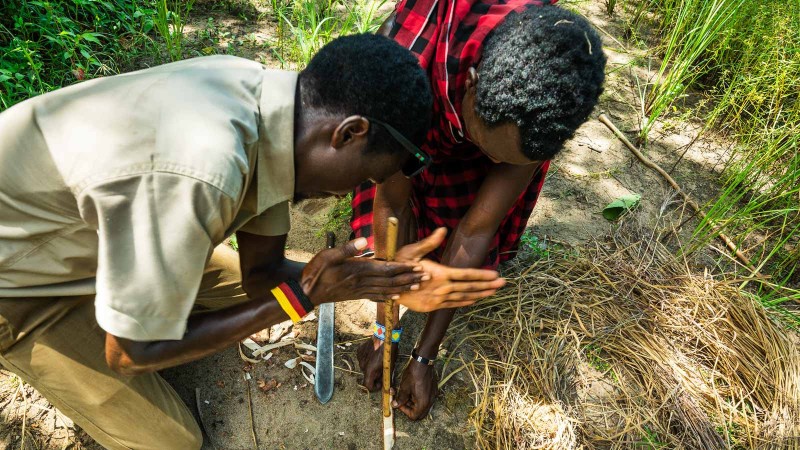 Bushwalk (gegidste wandelsafari)