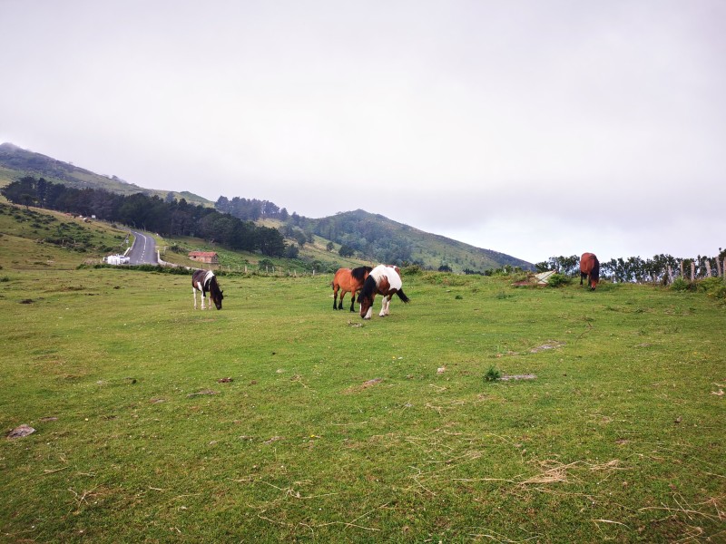 Camino del Norte Cycling Holiday