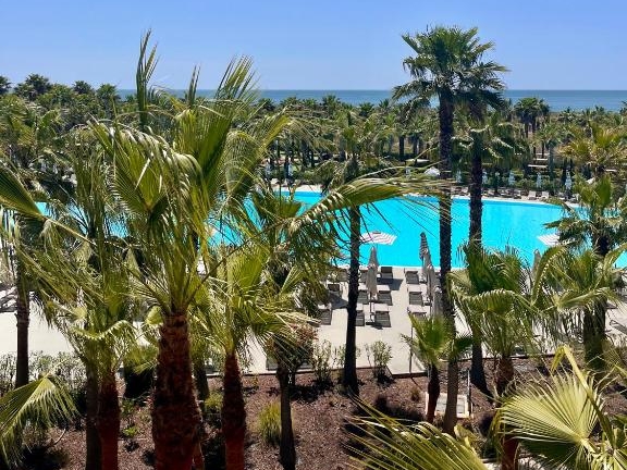 Wine&Books - Palmen, Pool, Meer