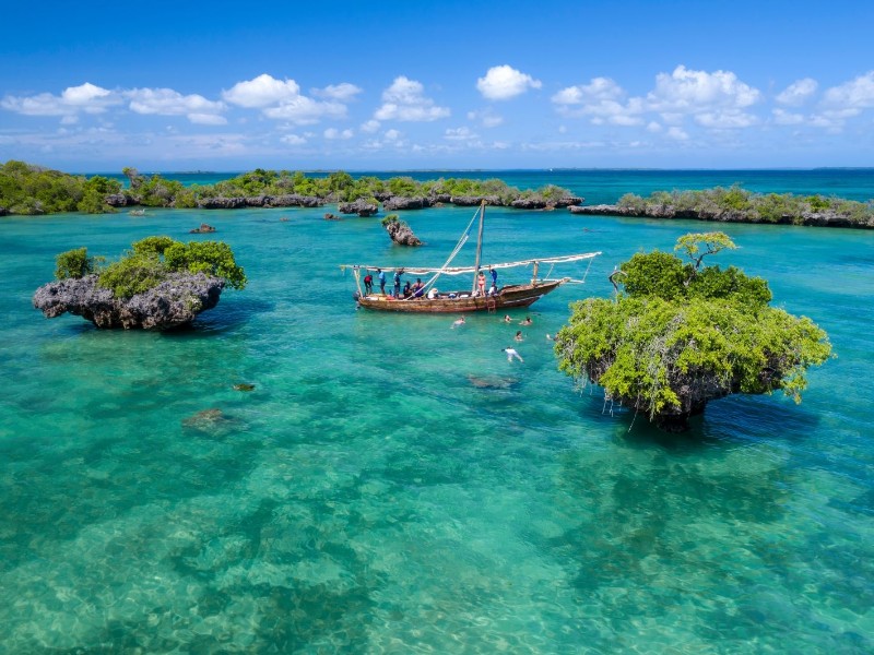 Beautiful mangrove tree-lined lagoon