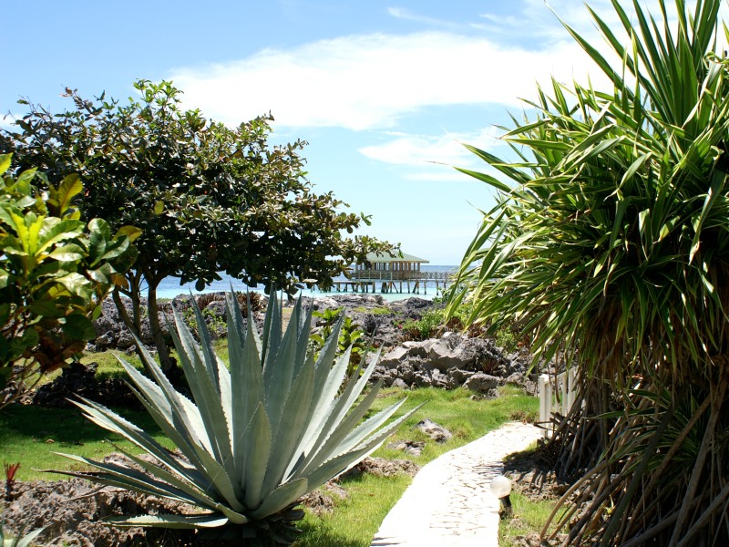 Villa Serena - Garten