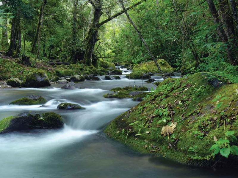 San Gerardo de Dota - Savegre Fluss