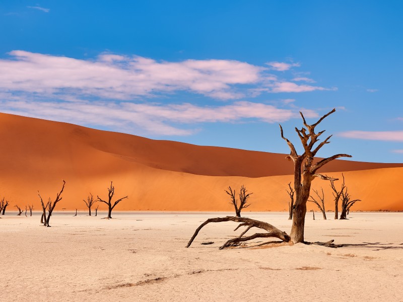 Namibia - Desert