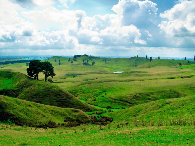 New Zealand - the Shire LOTR