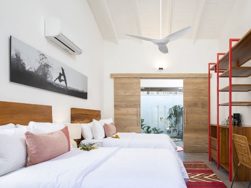 The Gilded Iguana - Standard Surf Zimmer