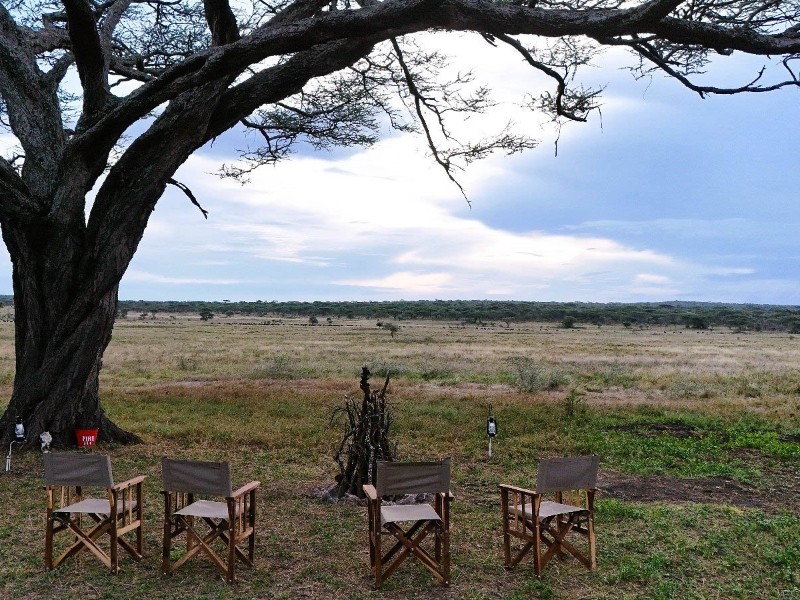 Africa Safari Kusini