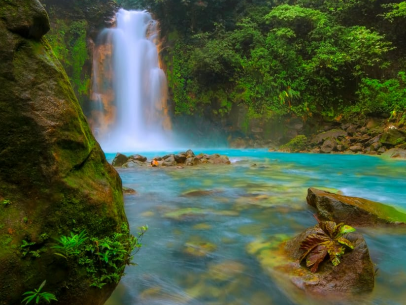 From La Fortuna: Rio Celeste Full-Day To