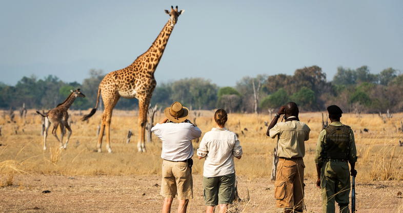 Walking Safari and Sundowner