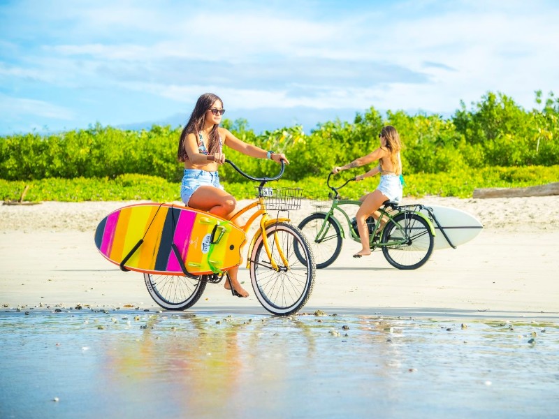 The Gilded Iguana - Bike & Surf