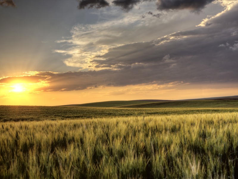 KAN_SK_Landschaft