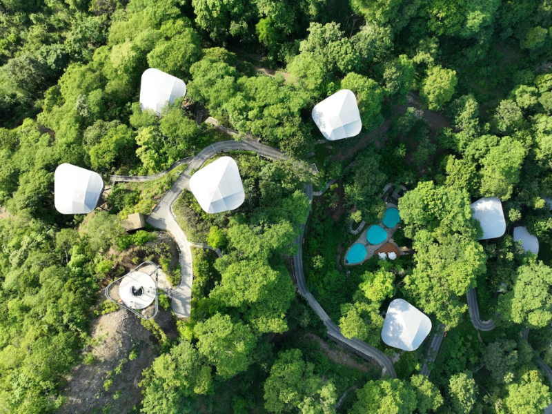 Suitree - Aussenbereich