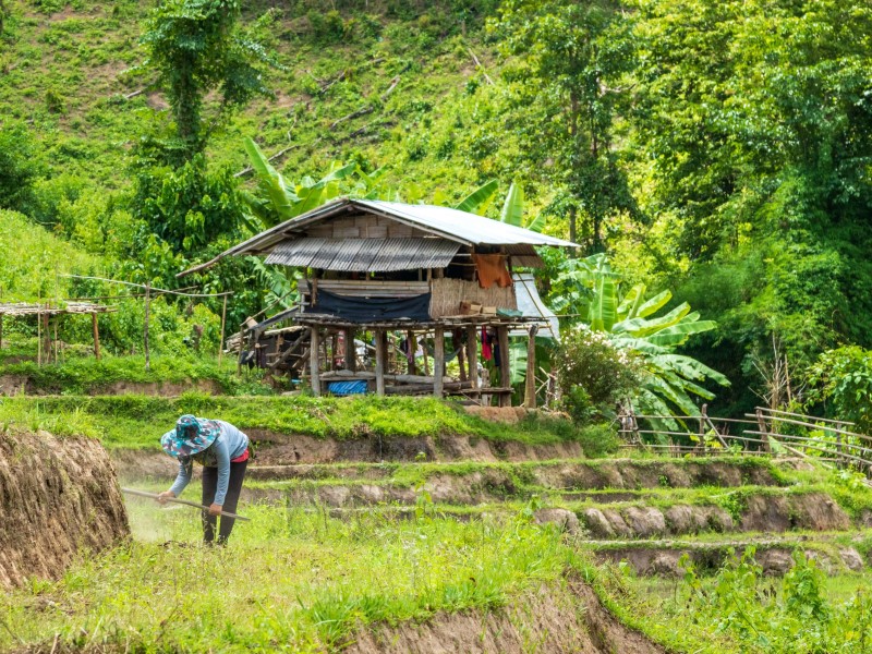 Countrymen Chiang Mai