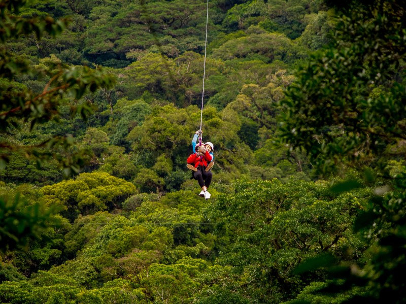 Canopy - Monteverde