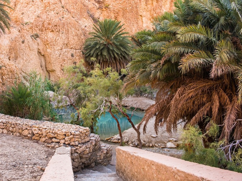 Oasis