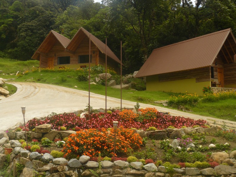 Tree Trek Mountain Resort - Garten