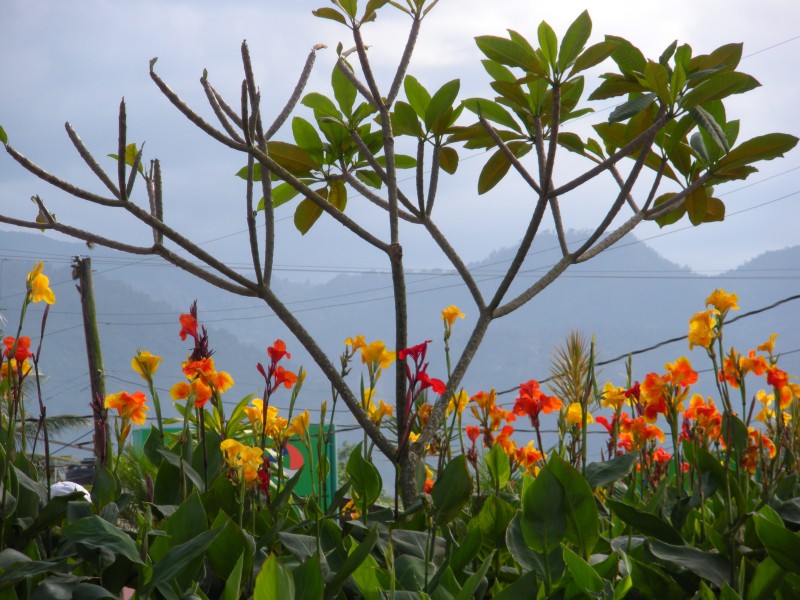 Jarabacoa - Landschaft