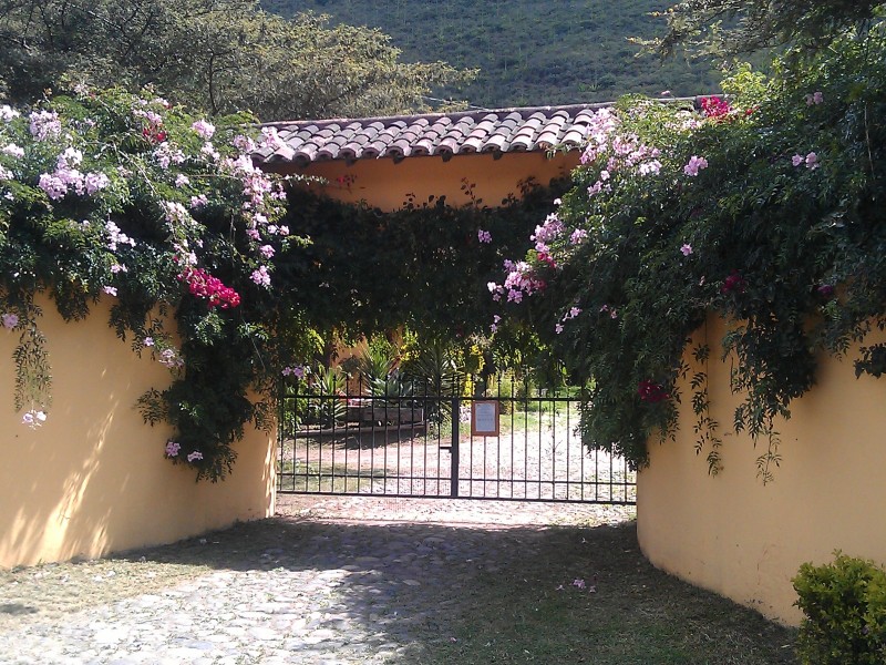Die Finca Sommerwind