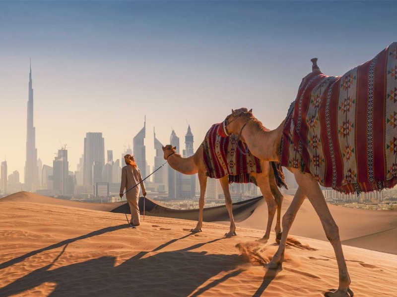 Desert Safari