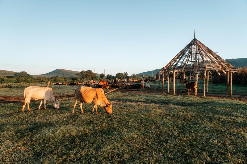 Village Walk in Lake Natron