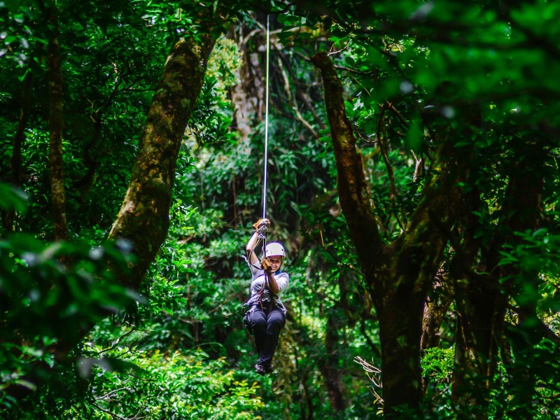 Cloud Forest Lodge Boena Canopy