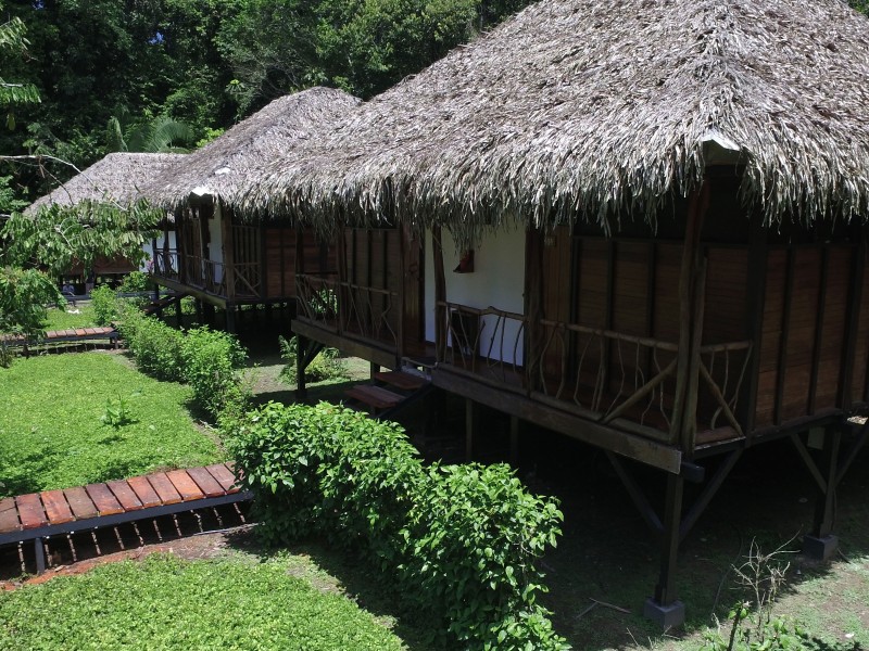 Sacha Lodge - Bungalows Aussenansicht