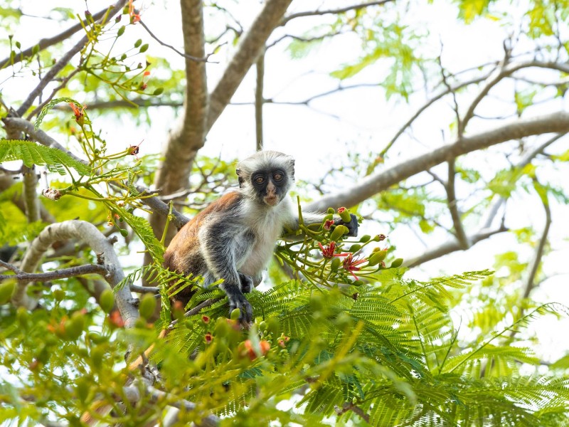 Reef and Beach Garden