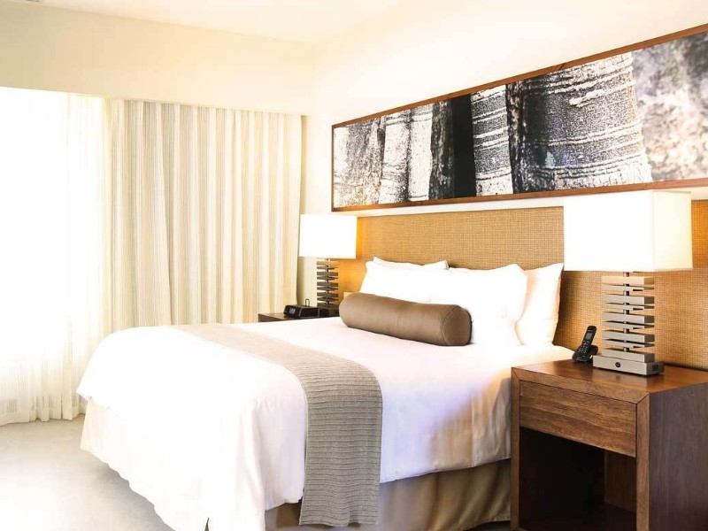 El Mangroove - Bark Suite