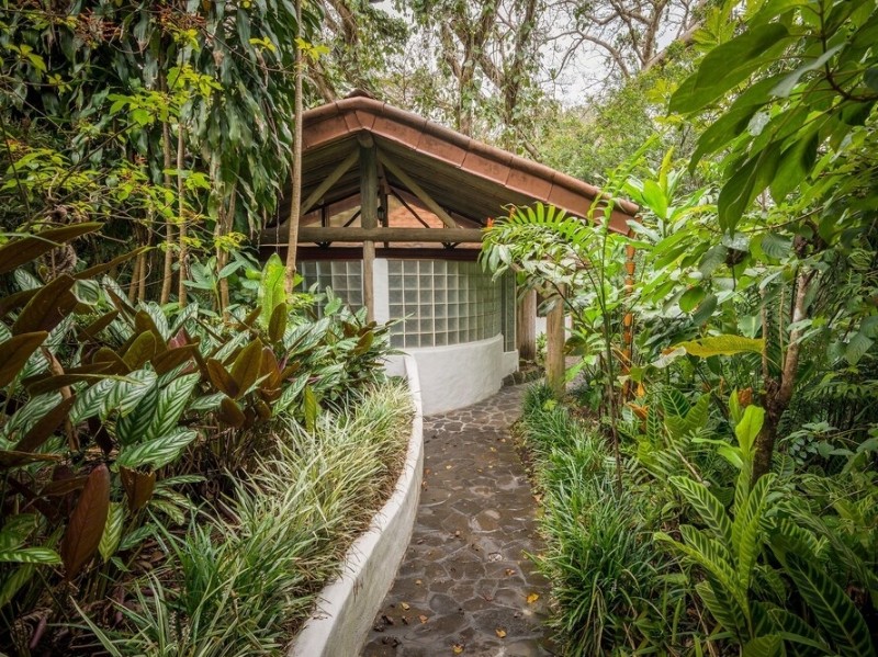 Coffee Plantation
