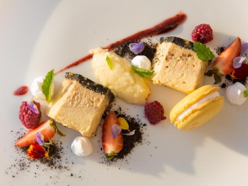 Movich Cartagena de Indias