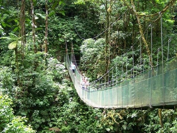 Buena Vista Lodge - Hängebrücke
