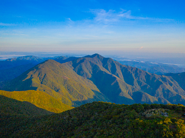 Holywell, Blue Mountain Area Jamaica