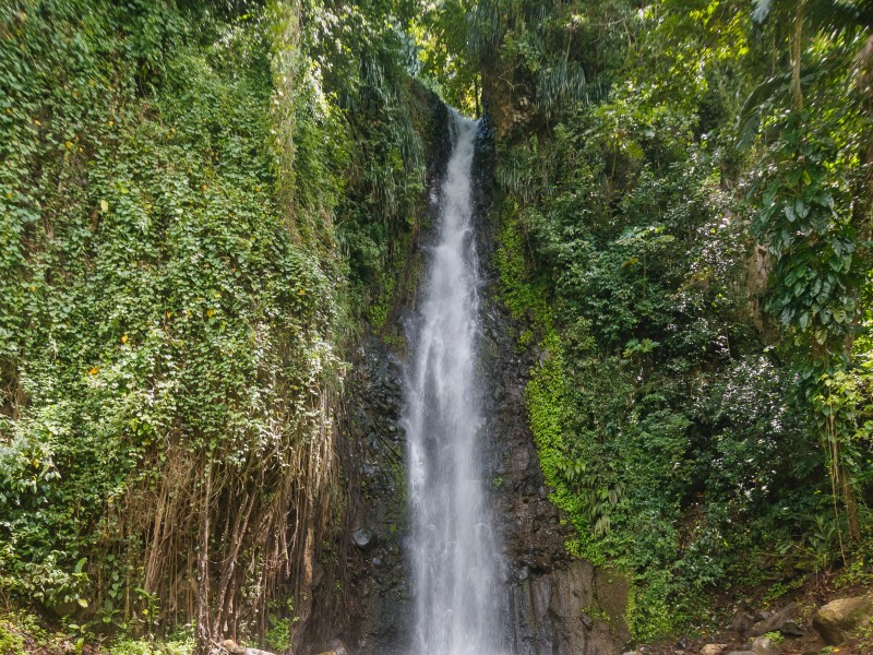 Dark View Falls - SVG