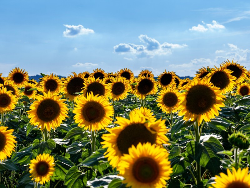 7-day Val d’Orcia on MTB