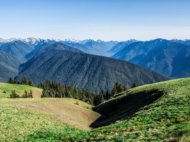 Pacific Northwest and California Adventure (Seattle to San Francisco) - 17