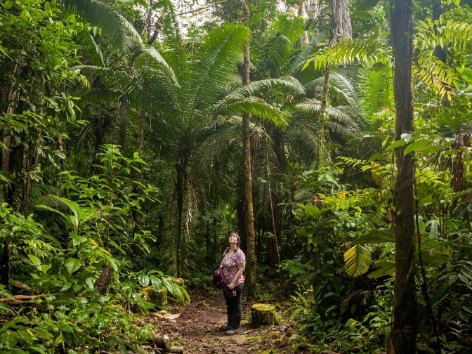 Napo Wildlife Center