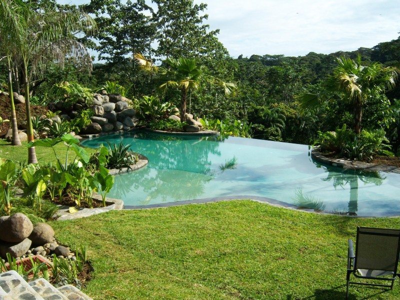 Sarapiquis Rainforest Lodge - Pool