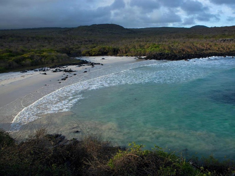 Tortuga Bay (Foto Zhang Fan)