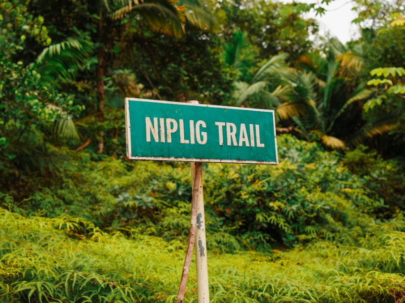 Tobago: Niplig Trail