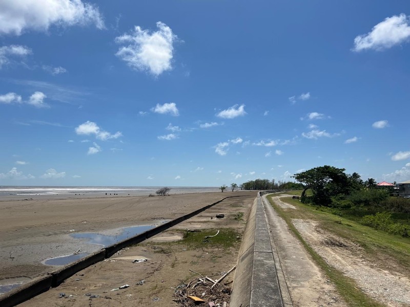 Coastal Rhythms & Rice Fields
