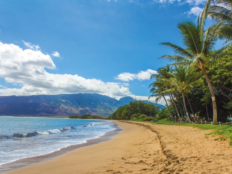 Beach in Maui