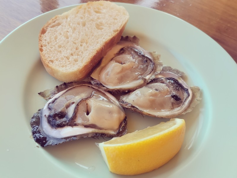 Oyster tasting