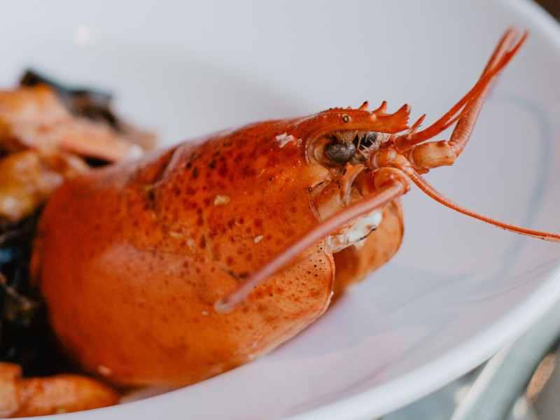 Diner at Yachtsman Grill 