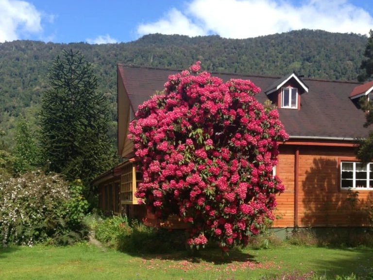 Hosteria Alemana, Haus