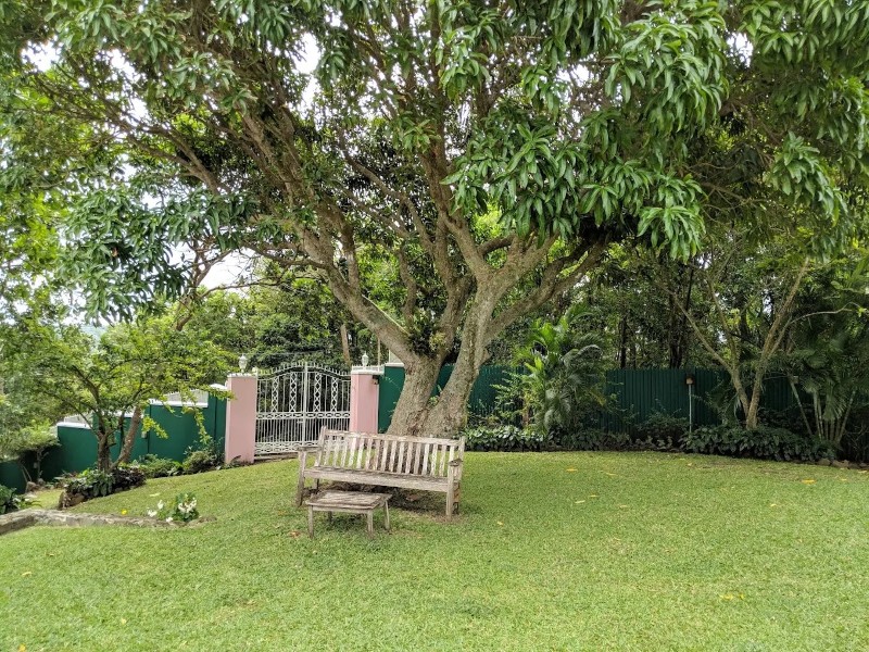 Stony Hill St. Lucia