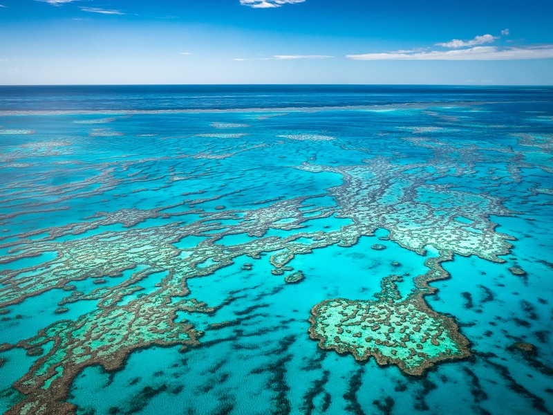 Header The Great Barrier Reef