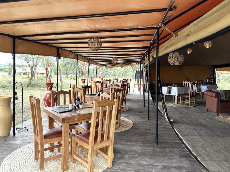 Africa Safari Serengeti Kusini